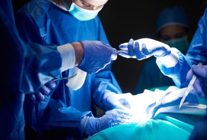 Picture250